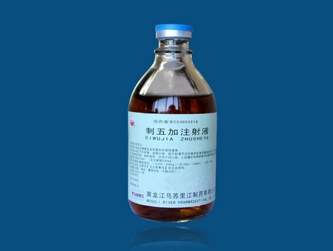 刺五加注射液100ml/250ml 刺五加注射液