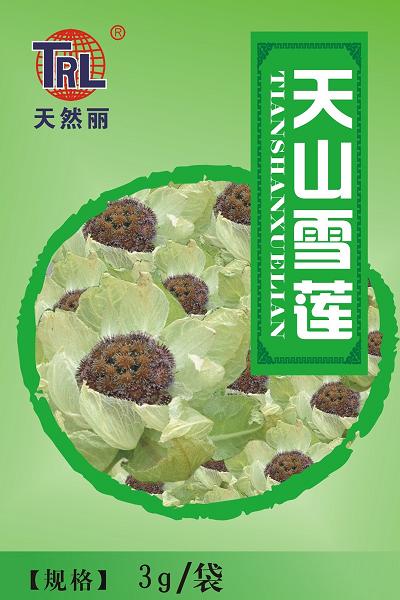 天山雪蓮（新疆原產(chǎn)） 