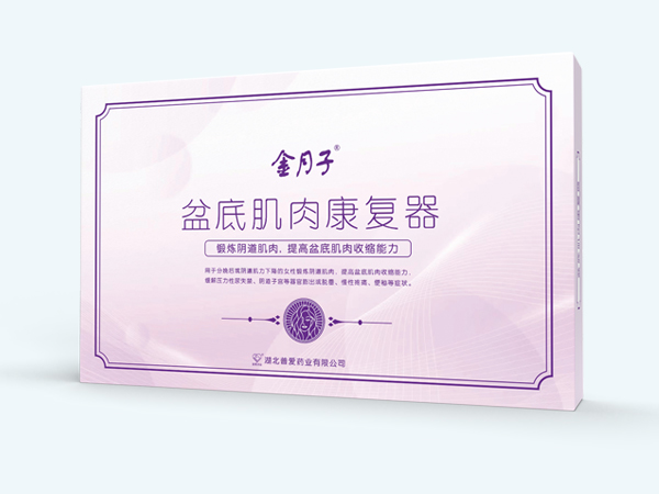 盆底肌肉康復(fù)器/產(chǎn)后盆底康復(fù)/盆底肌肉康 盆底肌肉康復(fù)器